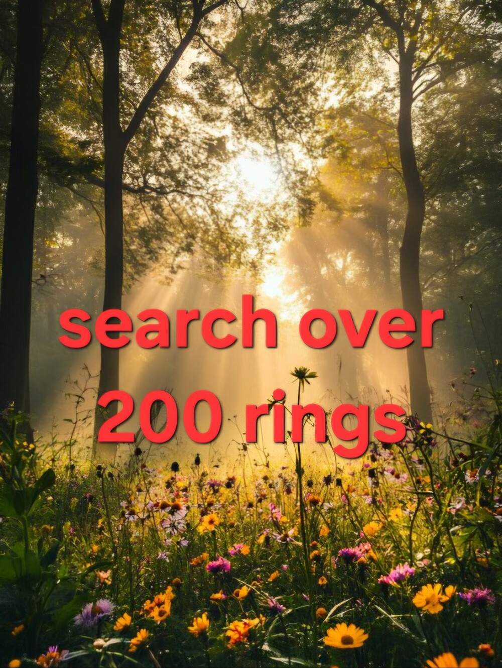 Over 200 Rings....Search & View